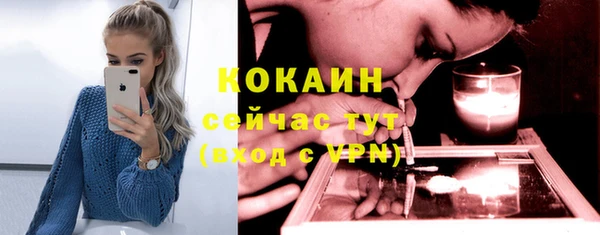 молекула духа Алексин
