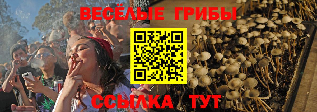 Галлюциногенные грибы ЛСД Новошахтинск