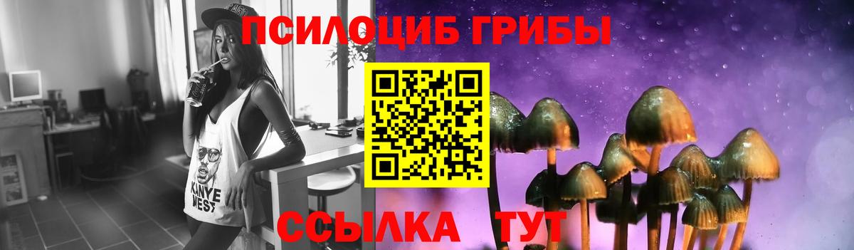Псилоцибиновые грибы мухоморы  Вход с VPN  даркнет сайт  Новошахтинск  Псилоцибиновые грибы мицелий 